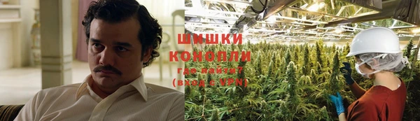 прущие крисы Беломорск