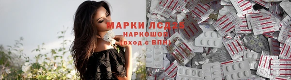 прущие крисы Беломорск