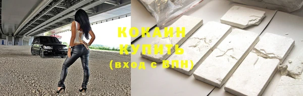 хмурый Белокуриха