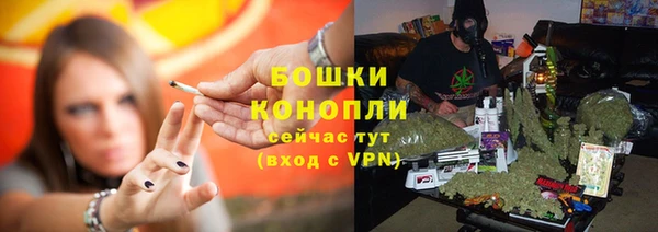 хмурый Белокуриха