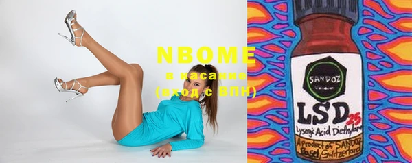 хмурый Белокуриха