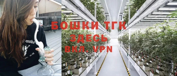 хмурый Белокуриха