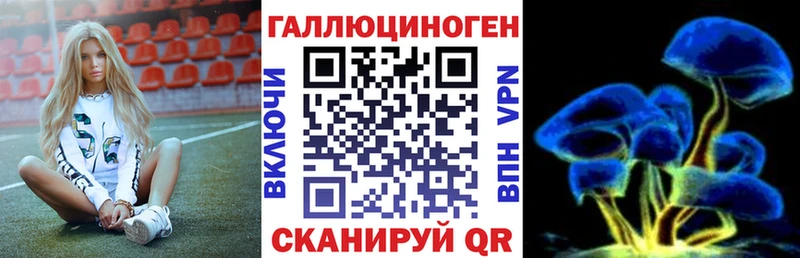 где продают   Краснознаменск  Псилоцибиновые грибы Magic Shrooms 